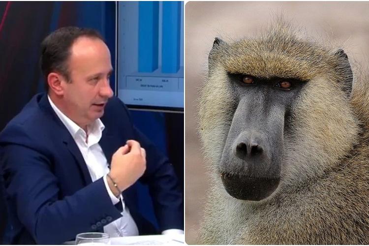 Ministrul Finanțelor, Adrian Câciu, crede că 90% dintre antreprenorii din România sunt ”babuini-antreprenori”   