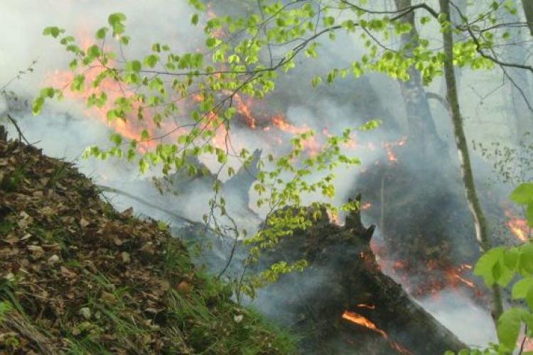 VIDEO - Zeci de pompieri s-au luptat ore întregi cu flăcările unui incendiu de vegetație izbucnit la Colibița. Sunt afectate 6 hectare de pădure