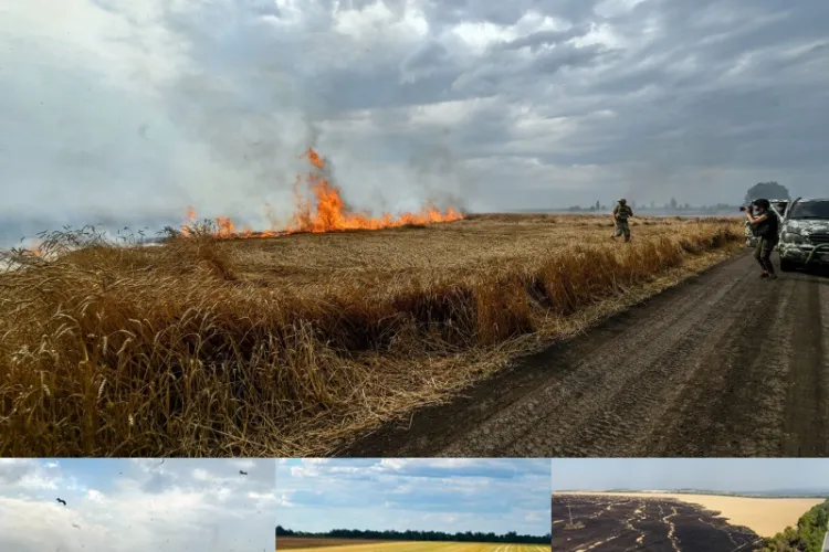 Fermele din Ucraina, nenorocite de rachetele rusești. Foametea a devenit cea mai nouă armă a Moscovei: „Pârjolesc tot și ne lasă să murim de foame”