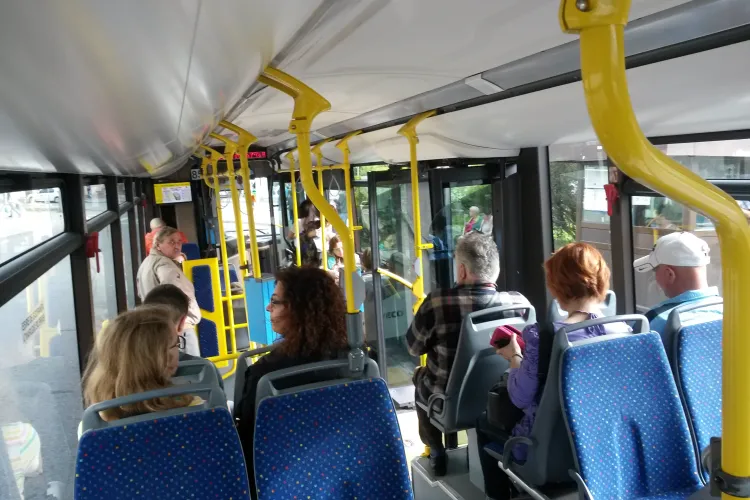 Boc: Reciclezi și circuli gratuit cu transportul în comun. Cum poți obține un bilet gratuit - VIDEO   