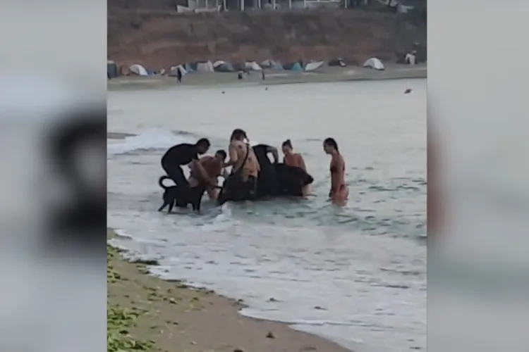 VIDEO - A vrut să se bucure de răsăritul din Vama Veche, de pe motocicletă, dar a ajuns printre valuri