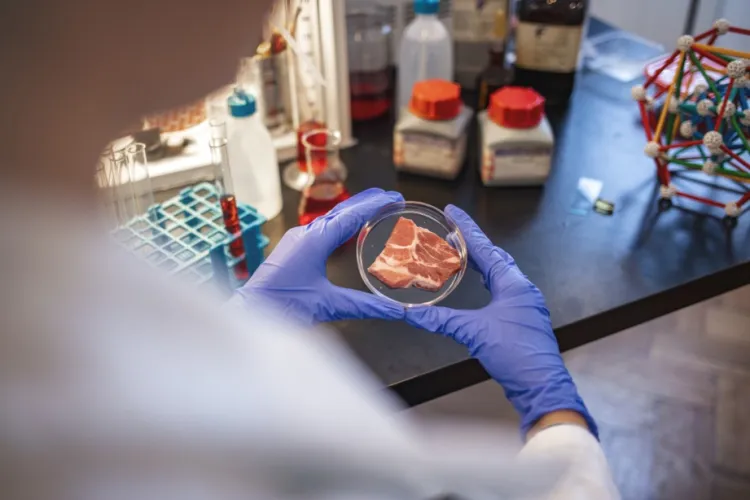 Oamenii de știință au atins un nou nivel în industria agro-alimentară: Agricultura Celulară. În viitor vom putea mânca ouă sau carne produse în laborator