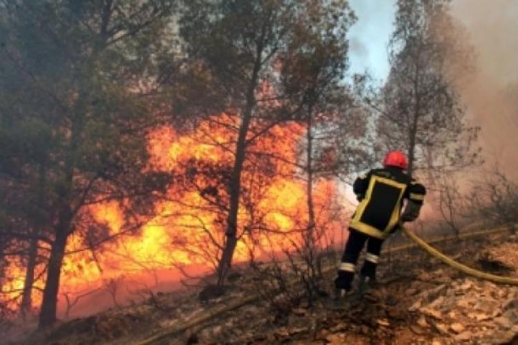 Incendii masive la Beliș, în zona Bălcești 