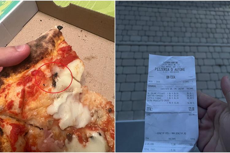Cluj: Pizza livrată cu muște în interior! Clientul a făcut plângere la Direcția Sanitar-Veterinară. Ce spun cei de la pizzerie - FOTO
