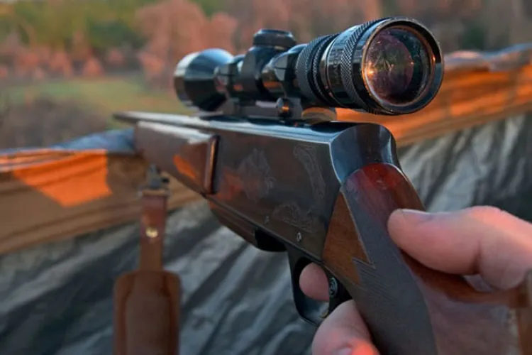 Bărbat, cercetat după ce a împușcat și tranșat ilegal un cerb. Coarnele și pielea animalului au fost găsite în apele unui râu