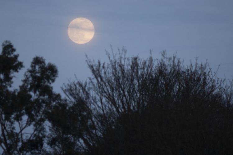 Luna Buck sau Superluna: Cea mai mare lună plină din 2022