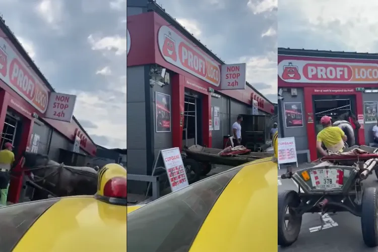 VIDEO. Un bărbat a intrat cu căruța într-un magazin Profi. Era foarte supărat pe polițiști