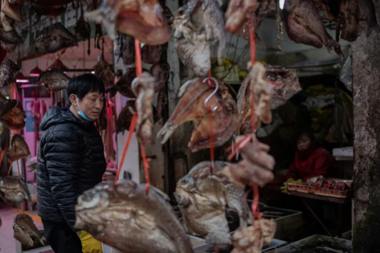 „Pandemia de COVID-19 a început în orașul Wuhan”. Două studii concluzionează primele cazuri vin din piața orașului chinez