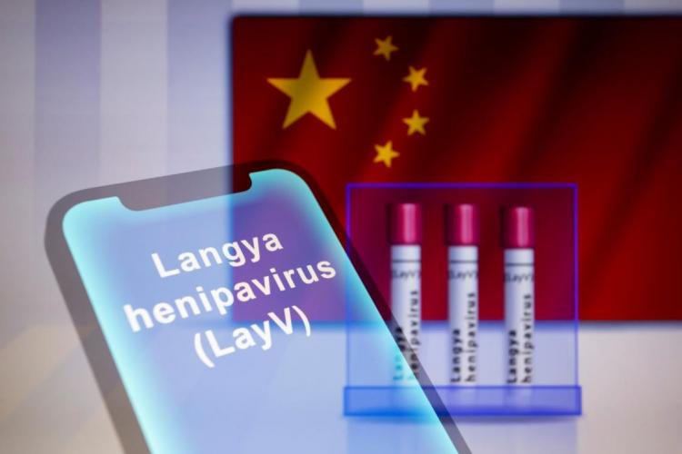 Au fost depistate zeci de cazuri de Langya în China. Ce este virusul Langya şi ce simptome are