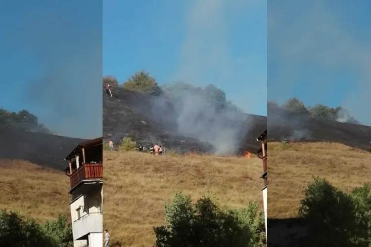 FOTO - Incendiu de vegetație pe un deal din Florești. Locuitorii din zonă au sărit în ajutorul pompierilor. Au stins focul cu pături și lopeți 
