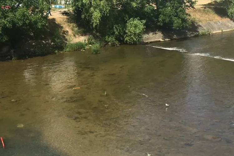 Trotinetă aruncată în Someș la Cluj: Avem armament sofisticat... - FOTO