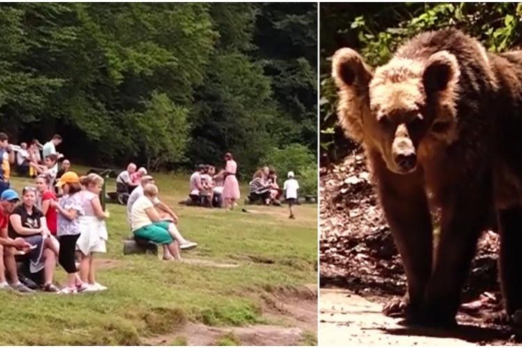 „Tu ți-ai risca viața pentru un selfie?”: Ce pățesc cei care vor fi surprinşi hrănind urșii, în zona Lacului Sfânta Ana