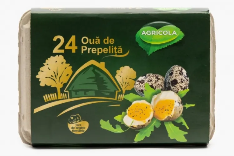 Ouăle de prepeliță: proprietăți, beneficii și valoare nutritivă