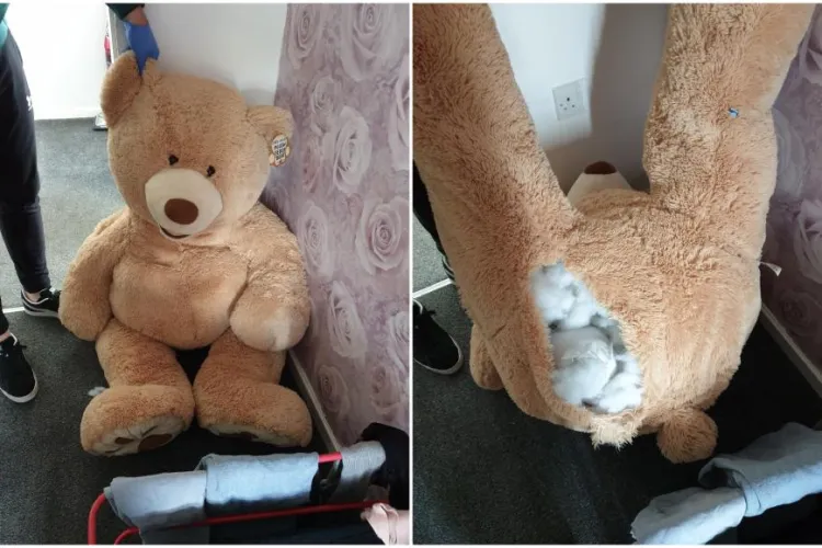 Un hoţ de mașini a încercat să se ascundă de poliție în interiorul unui ursuleț de pluș. „Au văzut un urs mare care respiră”