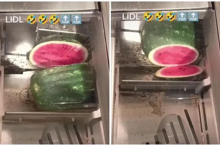 Mai proști decât prevede legea! Românii își feliază pepenele la LIDL, în  aparatul pentru tăiat pâine - VIDEO