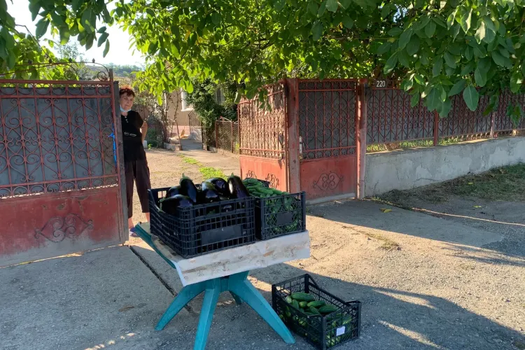 ”Dacă treceți prin Jucu, luați legume de la dna. Puscaș”. Fiul ei a murit și nu mai are cine să meargă la piață - FOTO