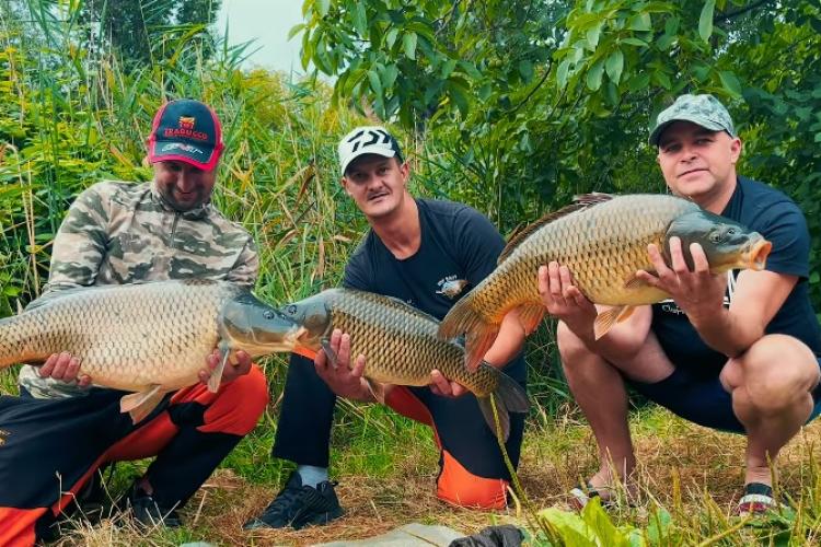 ”Monștri” în lacul 1 Gheorgheni! Crapi uriași prinși de niște pescari profesioniști - VIDEO