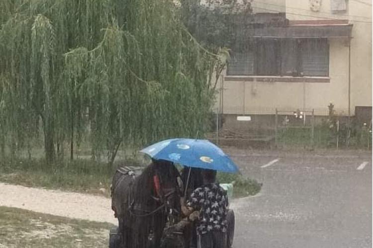 Lecție de umanitate! Și-a protejat caii cu umbrela de ploaia torențială - FOTO