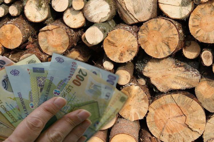 Românii vor putea primi un ajutor de 150 de lei pentru fiecare metru cub de lemne de foc. Ce condiţii trebuie să îndeplinești