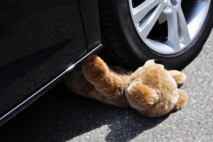 Tragedie într-o fracţiune de secundă. O fetiţă de 1 an şi opt luni a murit prinsă sub roţile maşinii tatălui, chiar în curtea lor