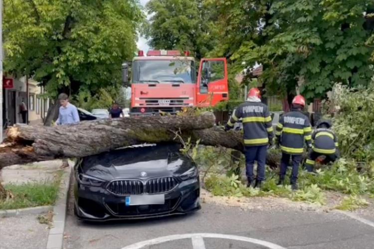 BMW de 100.000 de euro distrus de pompierii neatenți. Au scăpat un copac pe mașină - VIDEO