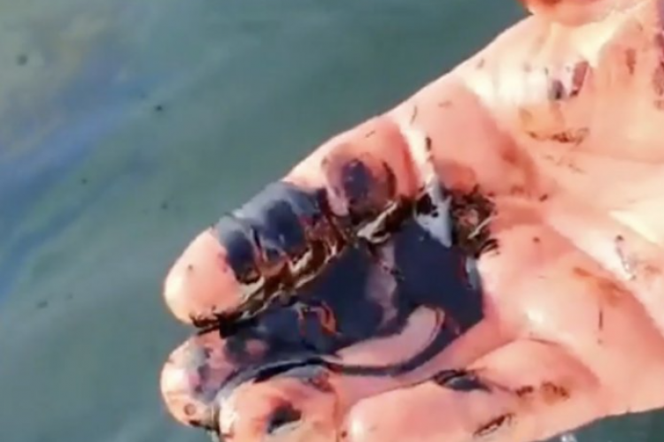 VIDEO - Doi pescari au publicat imagini cu suprafața apei acoperită de pete negre, lângă Portul Constanța: „E lipicioasă, frate, păcură!”