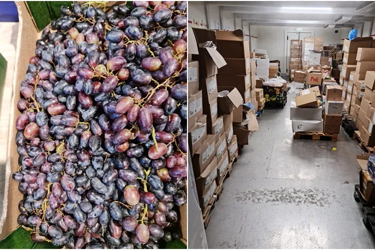 LIDL, amendă de 340.000 lei la Cluj. Ce au găsit cei de la Protecția Consumatorilor în depozit