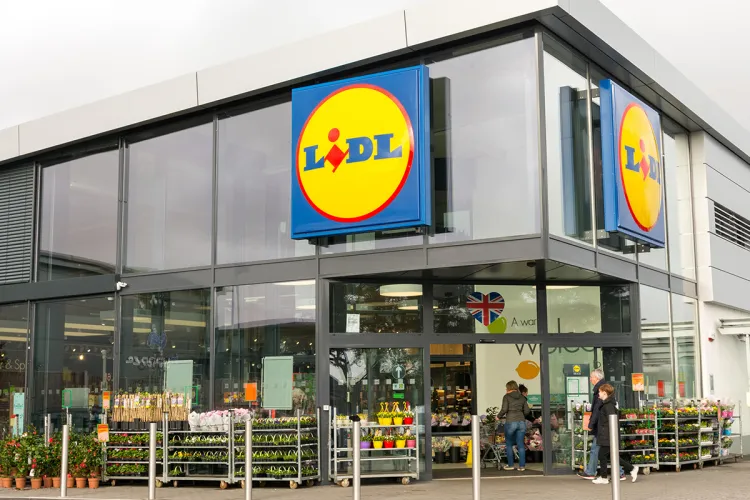 Protecția Consumatorilor a amendat 265 de magazine Lidl, pentru mizerie, insecte şi produse expirate