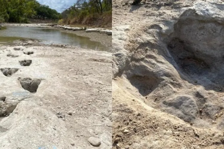 FOTO - Descoperire uluitoare în albia unui râu secat: Urme de dinozaur, vechi de circa 113 milioane de ani