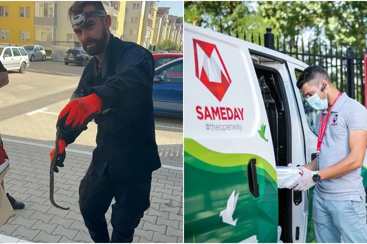 Cluj: Șarpe găsit în Florești, într-o dubă care transporta colete - FOTO