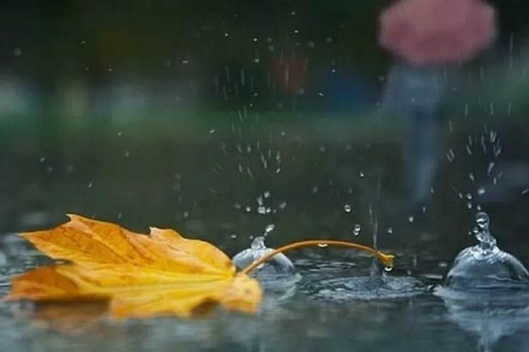 Vine frigul în România! Temperaturile scad drastic de la o zi la alta