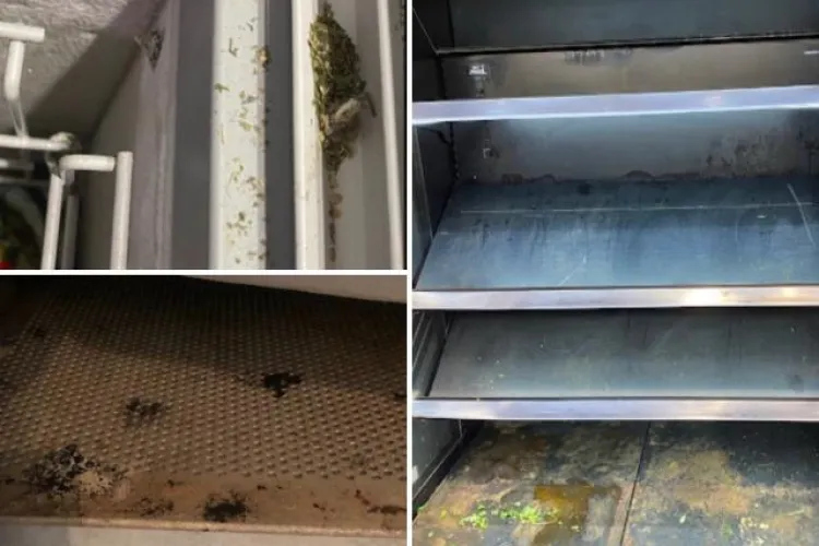 FOTO - Peste 250 de magazine din România, amendate cu 3,5 milioane de lei de ANPC: Produse expirate, fructe mucegăite și gândaci 