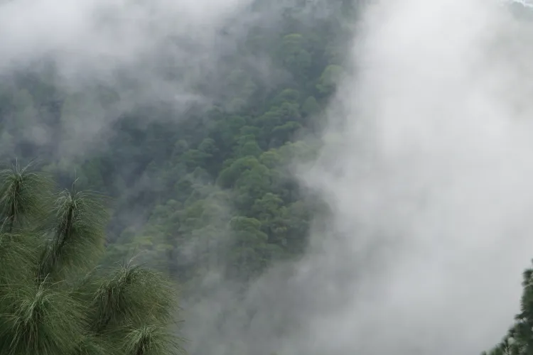 Șase membri ai aceleiași familii și-au găsit sfârșitul, înecați! Tragedie în lanț din cauza unui selfie