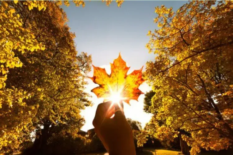 Vezi prognoza meteo pentru următoarele patru săptămâni: Temperaturi normale pentru această perioadă