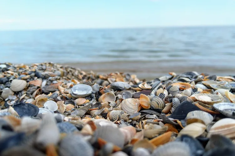 Mină de război descoperită în Marea Neagră. Intervin Forțele Navale Române pentru distrugere!