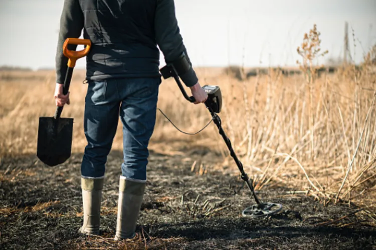 Descoperire valoroasă făcută de un tânăr de 27 de ani într-o pădure. Ulterior, a dat peste o adevărată comoară 