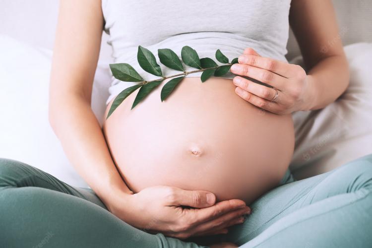 Femeile însărcinate din Ungaria, obligate să asculte bătăile inimii fătului înainte de a avorta
