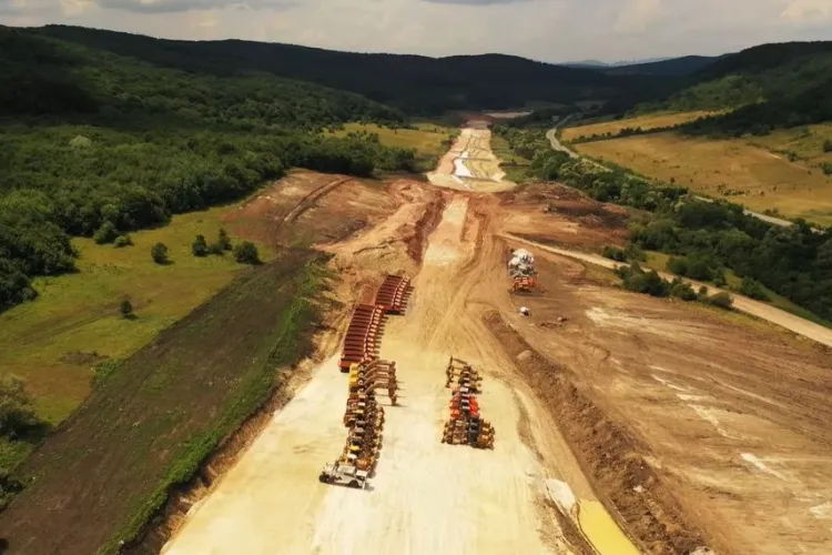 Hoții de lemne au furat din pădurea de pe Autostrada Transilvania, tronsonul Nădăşelu - Zimbor - Poarta Sălajului
