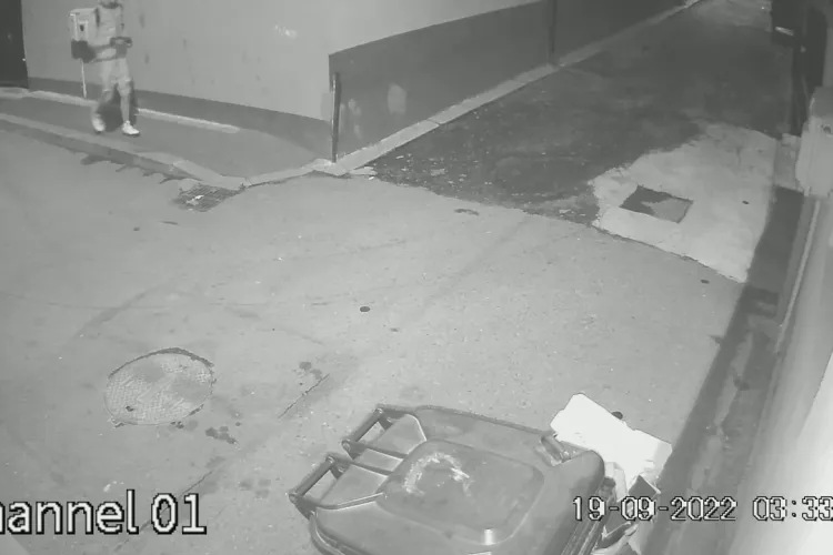 Hoț filmat prin cartierul Someșeni: Mare atenție noaptea. Nu lăsați porțile deschise! - VIDEO