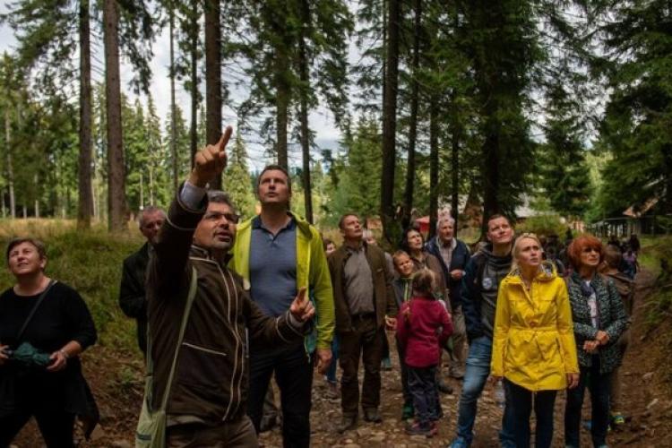 Comunitatea Declic, ONG din Cluj, acuză UDMR că manipulează publicul în legătură cu protecția parcurilor naționale ale României