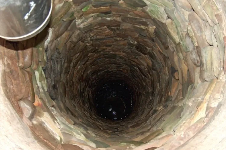 FOTO - Un cal căzut într-un puț adânc de 4 metri a fost salvat de pompieri. Intervenţia a durat două ore