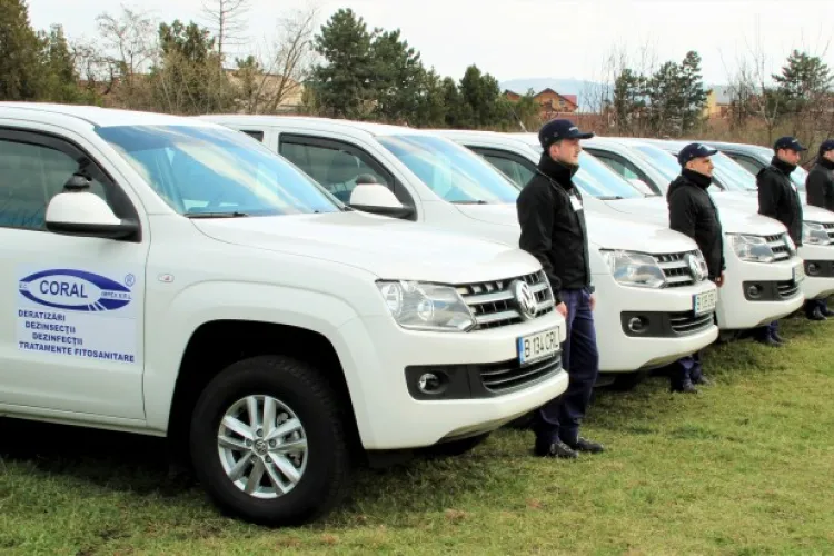 Acțiune de deratizare în Cluj-Napoca efectuată de Coral Impex