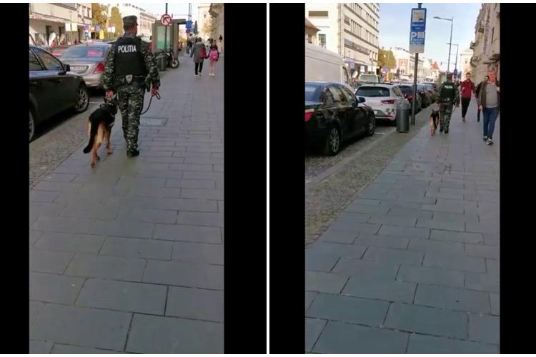 Clujul s-a ”militarizat” de Zilele Clujului! Au scos dulăii pe stradă - VIDEO