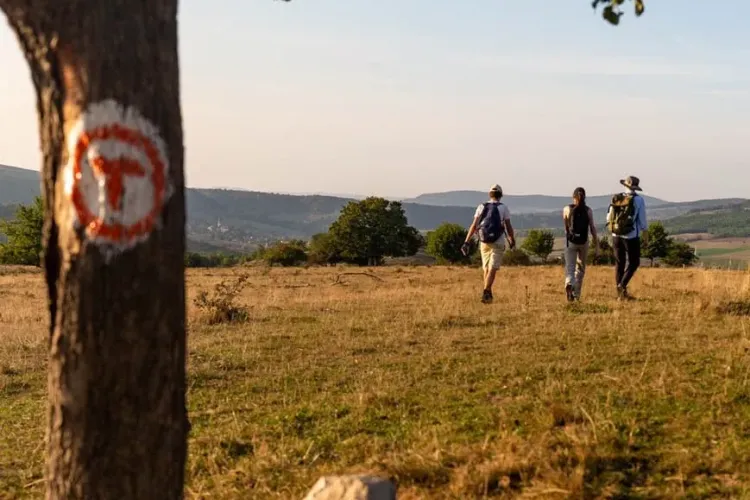 VIDEO/FOTO - Traseul de drumeții care străbate 10 judeţe din ţară, Via Transilvanica, a fost inaugurat oficial
