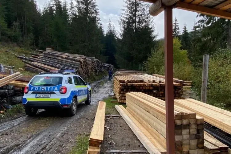 Lemne în valoare de aproximativ 68.000 de lei, confiscate de Inspectorii Gărzii Forestiere Cluj