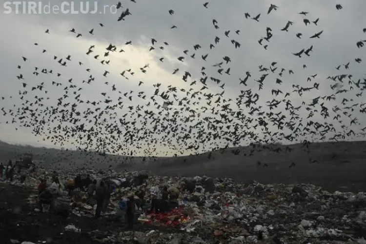 Alin Tise: Sanse mici sa obtinem finantarea europeana pentru inchiderea gropii de gunoi de la Pata Rat 