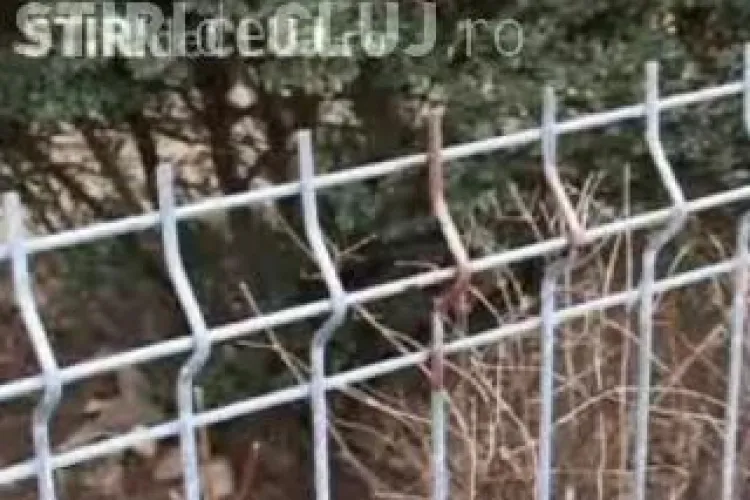 In urma accidentului de duminica, primaria Cluj-Napoca ia in calcul modificarea gardurilor!  