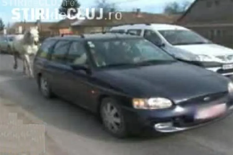 Un sofer clujean si-a legat calul la masina si a iesit cu el in trafic, prin Floresti - VIDEO