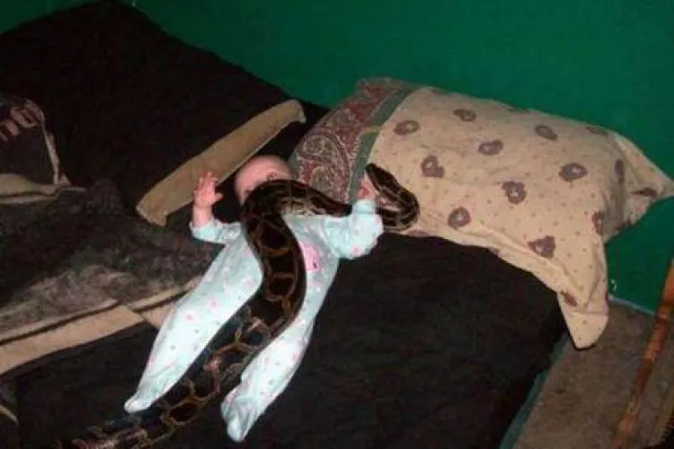 Unii parinti nu au nicio legatura cu "meseria" asta! Cei pe care o sa ii vedeti in poze sunt cei mai rai din lume!- Imagini socante