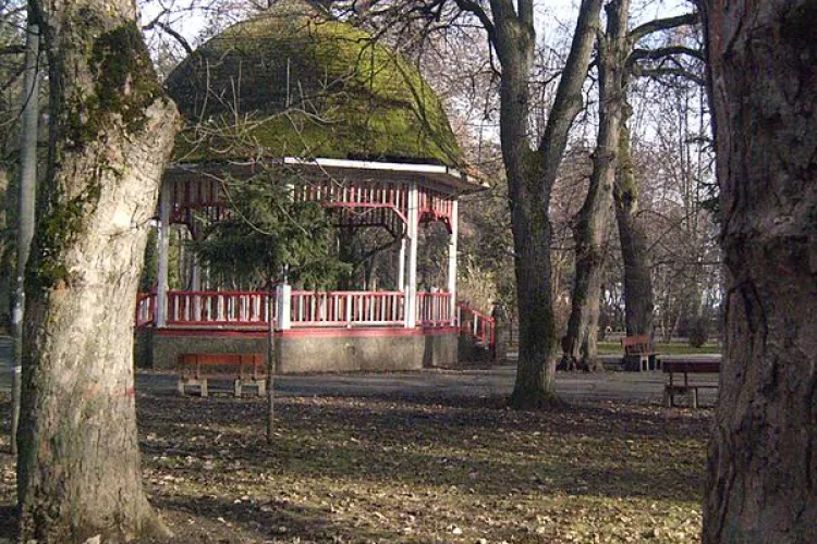 Cluj Napoca va fi un oras mai verde potrivit noului PUG! Primaria a demarat consultarile cu cetatenii